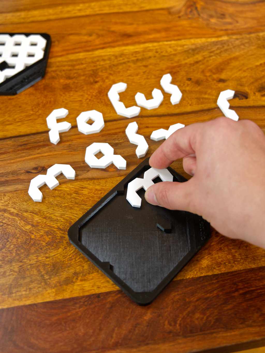 Jingsaw Puzzle "Focus Master"
